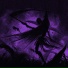 Ambient Vital, Universatility Group