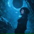 Echovoid