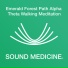 Sound Medicine
