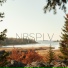 NBSPLV