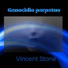 Vincent Stone