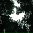 SOULOC8