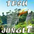 TESH