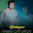 Habib Gayurov