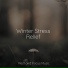 Ambient Forest, Relaxing Sleep Music, Relaxamento