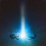 MIDNEX