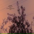 Breaksky