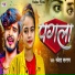 Saweta Sargam
