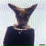 elloeight