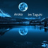 Aroka