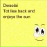 Dwsolai
