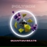 QUANTUM BEATS