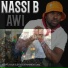 Nassi B
