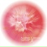 Auditory Canvas