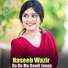 Naseeb Wazir