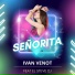 Ivan Venot, El Steve DJ