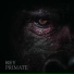 Rey Primate