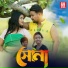Taposh Koch