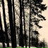 Skamt