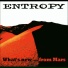 Entropy