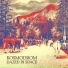 Kosmodrom
