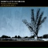Modena City Ramblers feat. Calexico