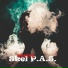 Skel P.A.S.