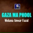 Molana Anwar Fazal
