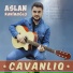Aslan Rəhimoğlu