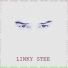 Linky Stee
