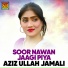 Aziz Ullah Jamali