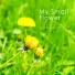 Flower Garden