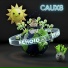 Caux8
