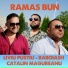 Liviu Pustiu, Baboiash, Catalin Magureanu