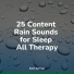 Zen, Ambient Nature Project, Nature Recordings