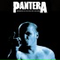 Pantera