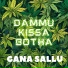 Gana Sallu