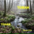 Томан