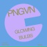 PNGVN