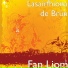 Lasairfhíona de Brún