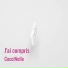 CocciNelle
