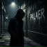 PalAer