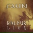 Faun
