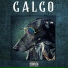 El Oriental10, El Galgo Flow Galgo
