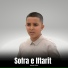 Senad Drini