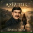 Aziz Tok