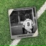 Leone11