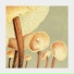 Aebleo