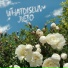 WHATDISLUV