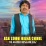Mehboob Hussain Naz
